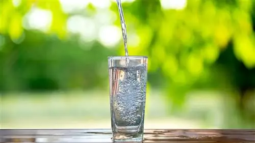 12 брендов ароматизированной воды, от худшего к лучшему