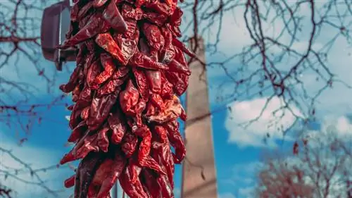 Красный чили ристра и обелиск Красный чили ристра и обелиск