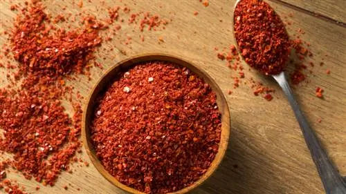 гочугару в миске и ложке гочугару в миске и ложке
