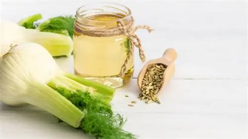 Луковицы фенхеля и шарик семян фенхеля на прилавке