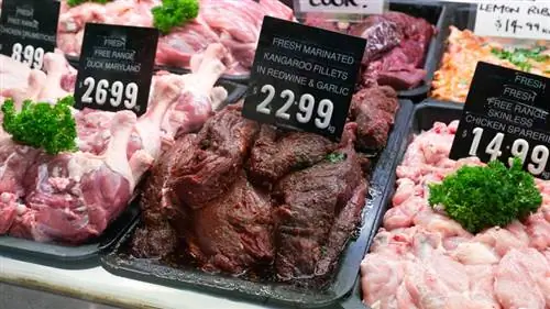 Стейки из кенгуру в мясной лавке Стейки из кенгуру в мясной лавке