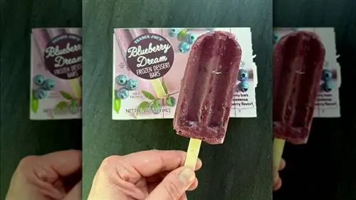держит десертный батончик Blueberry Dream