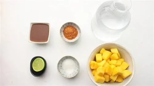 ингредиенты для мангонады