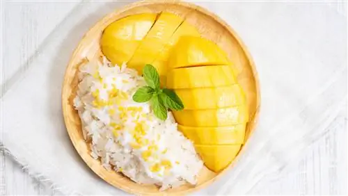 Ошибки, которые все совершают с клейким рисом