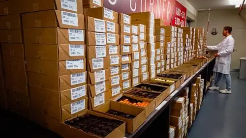 бельгийский шоколад на фабрике neuhaus