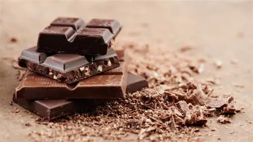 темный и молочный шоколад