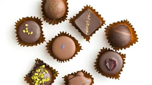 пралине из бельгийского шоколада