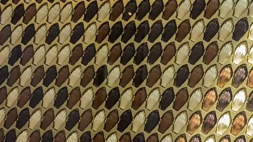 антверпенские шоколадные руки