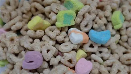 Волшебно вкусные Lucky Charms