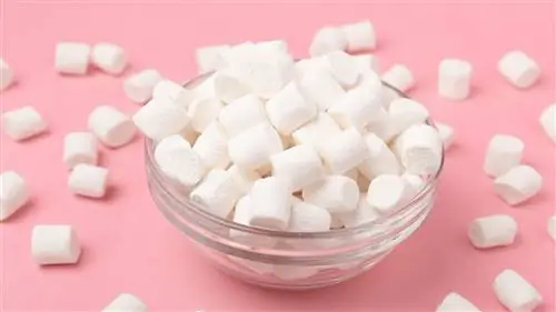 12 малоизвестных фактов о зефире