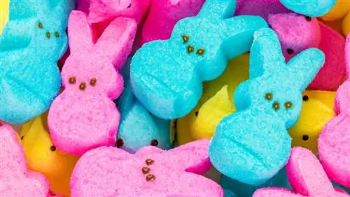 выглядывает