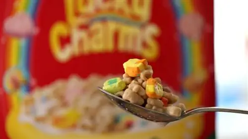 талисманы на удачу