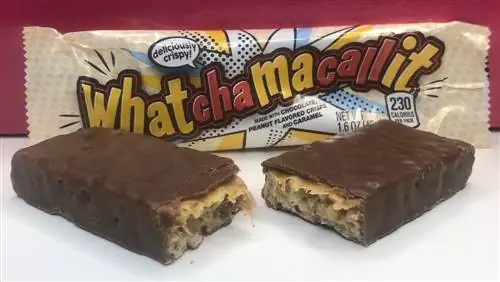 Чточамакаллит Чточамакаллит
