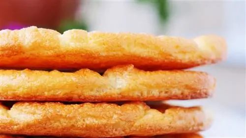 Ошибки, которые совершают все с Cloud Bread