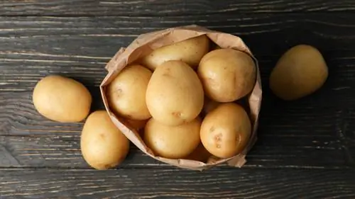 Бумажный пакет с картофелем