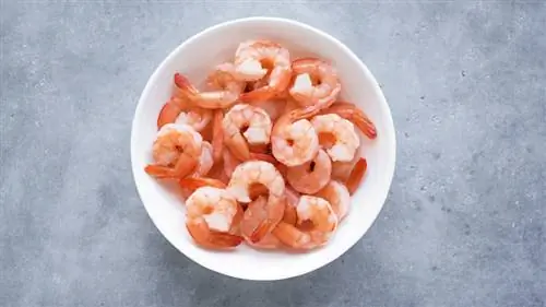 миска с креветками