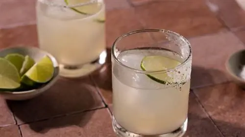 маргариты в очках