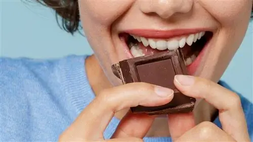 Как «периодический шоколад» помогает не только избавиться от пристрастия