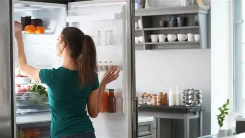 семейный ужин пищевые отходы