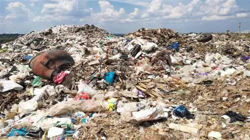 свалка пищевых отходов