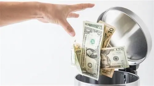 пищевые отходы деньги в мусор