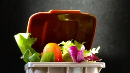 пищевые отходы