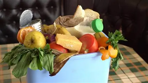 Сумасшедшие факты о пищевых отходах, в которые вы не поверите