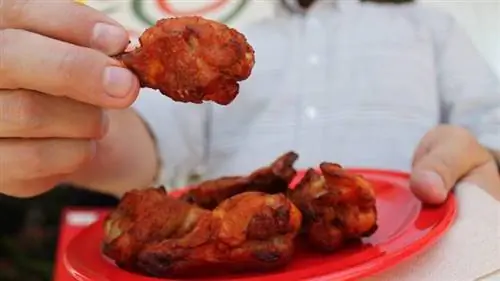 куриные крылышки сисис