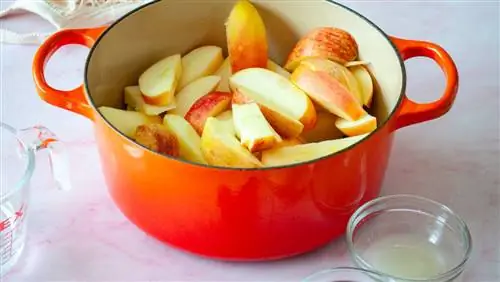 Голландская печь, полная яблок