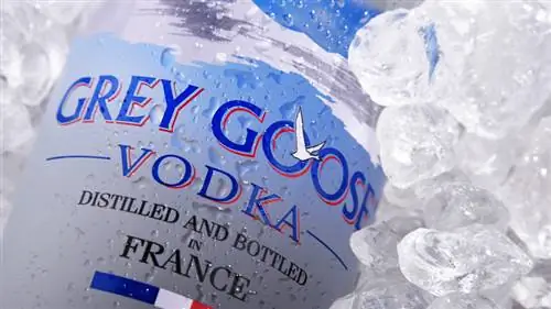 Бутылка водки Grey Goose