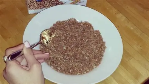 Виноградные орехи Виноградные орехи