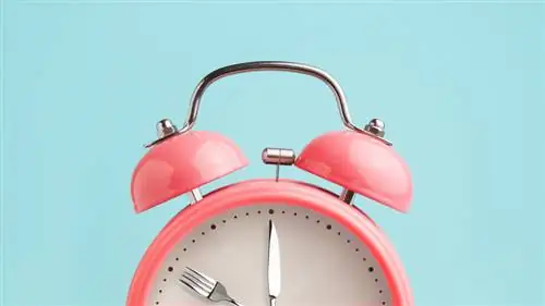 кухонный таймер с посудой руки