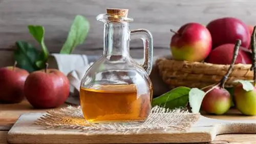 Очистить банку яблочного уксуса рядом с яблоками