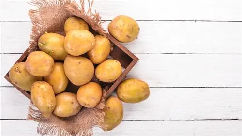 жареная картошка