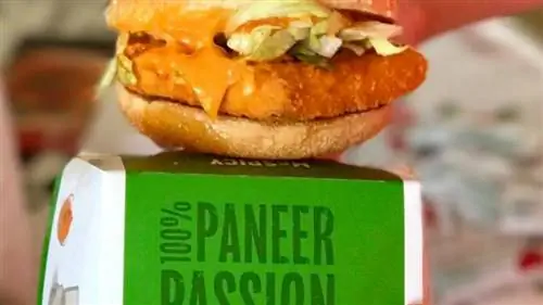 МакСпайси Панир