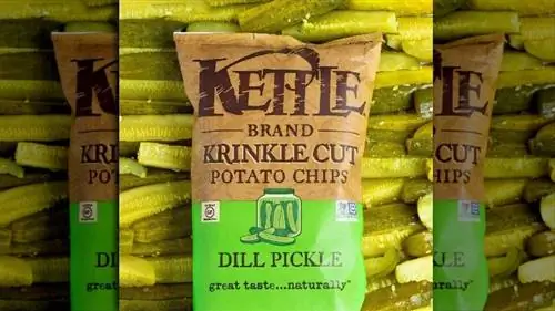 Krinkle Cut Dill Pickle чипсы для чайника Krinkle Cut Dill Pickle чипсы для чайника