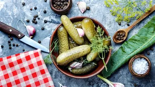 Соленья с перцем, солью, специями