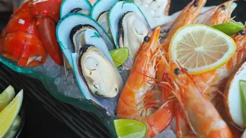 Ассорти из морепродуктов с креветками, устрицами и лобстерами