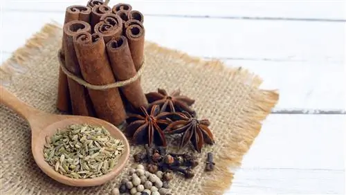Что такое порошок Five-Spice и как его использовать?