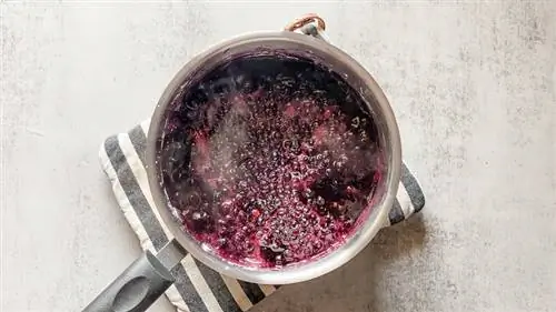 Смесь для пирога с черникой Смесь для пирога с черникой