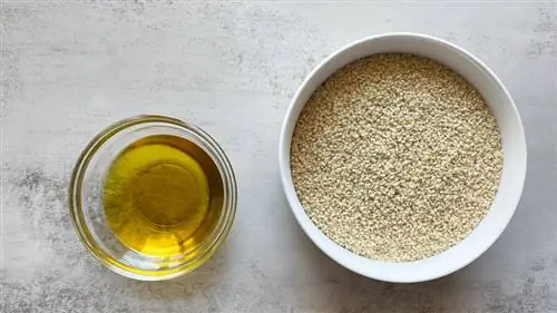 семена кунжута и оливковое масло в мисках семена кунжута и оливковое масло в мисках