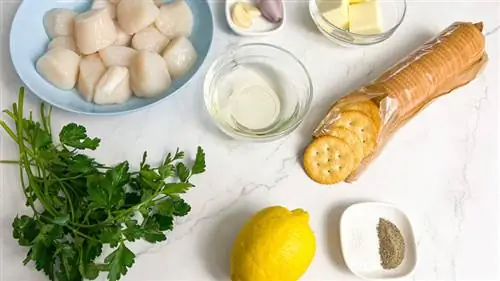 ингредиенты для запеканки из гребешка