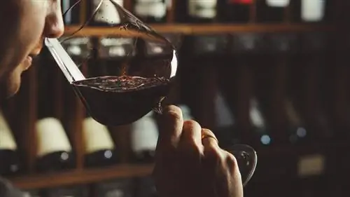 Сомелье чувствует запах вина