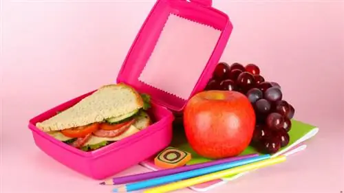 Продукты из ланч-боксов, которые мы, к сожалению, больше никогда не поедим Продукты из ланч-боксов, которые мы, к сожалению, больше никогда не поедим