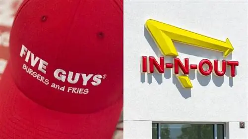 Кепка сотрудника Five Guys и внешний вид In-N-Out