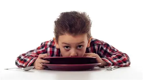 Мальчик прихлебывает тарелку супа