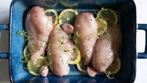 приправленная сырая курица в жаровне