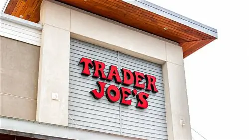 Поклонники Trader Joe's сходят с ума из-за возвращения этого осеннего мороженого
