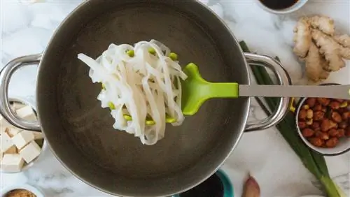 лапша выходит из горшка