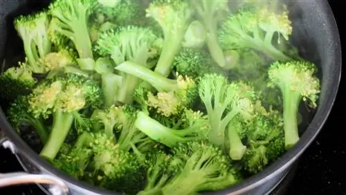 Ярко-зеленая брокколи на пару для креветок Альфредо